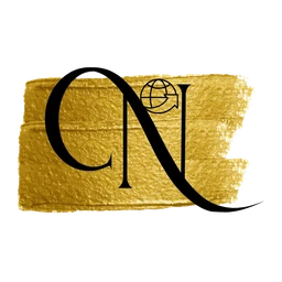 Nichedigimedia42 logo